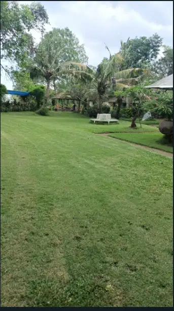 Tanah Murah 93 Are Los Pantai Brawa canggu