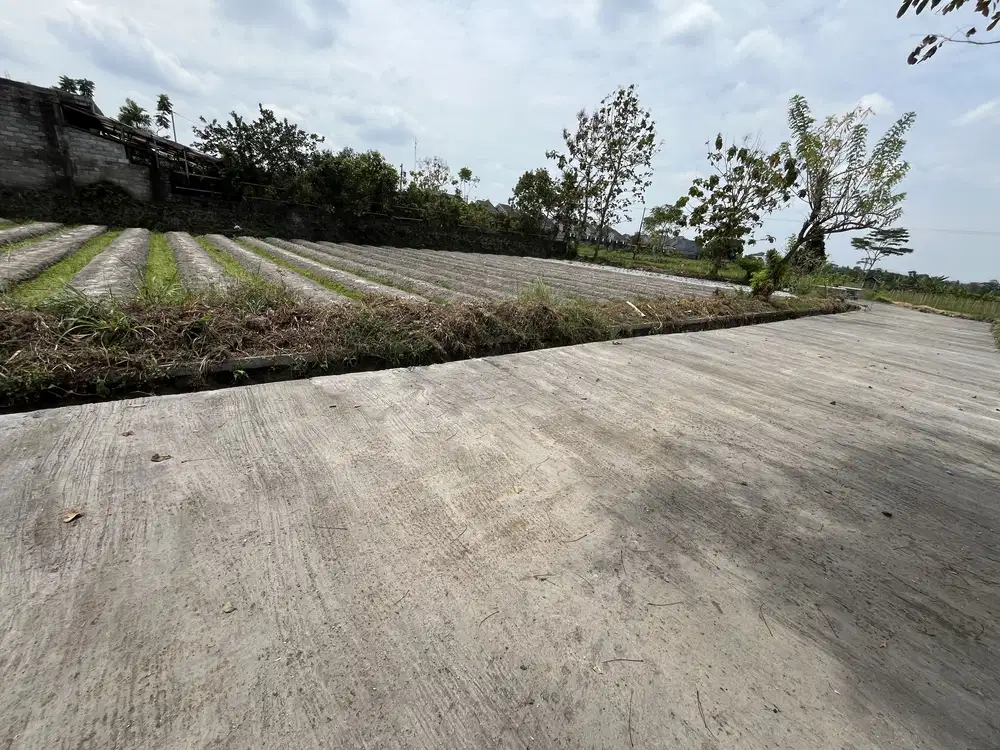 Tanah Murah Sleman dekat Kampus UII Kaliurang , SHM P 2 JUTAAN