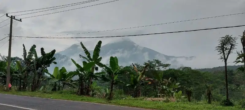 Mojokerto. Trawas. Komersial area. nol jalan. siap bangun