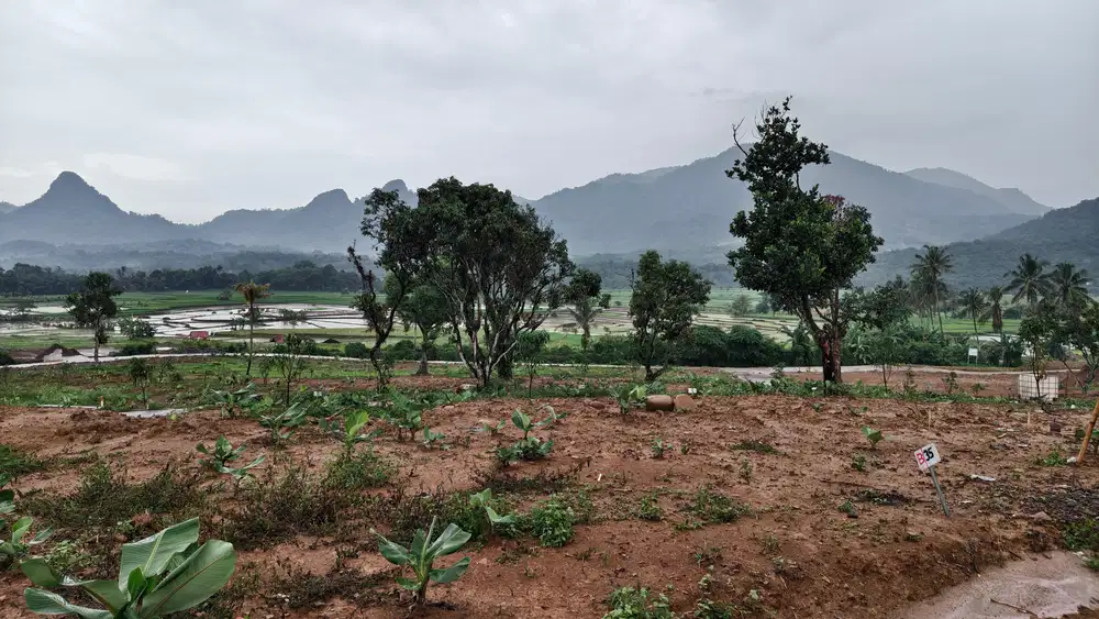 Dijual Tanah kavling wisata Bogor Timur Nuansa Alam Angroeduwisata