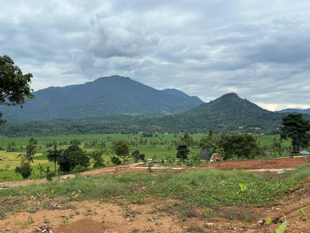 TANAH KAVLING DENGAN VIEW TERMEGAH 360° NUANSA ALAM GOLDEN VIEW