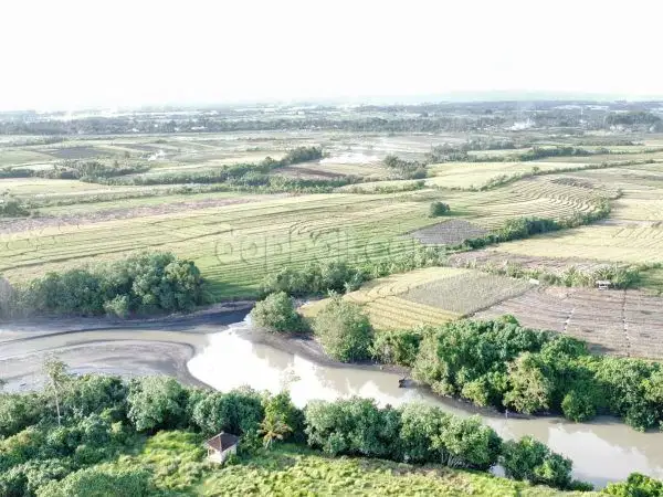 4800sqm riverfront land for sale in Kerambitan, Tabanan-Bali