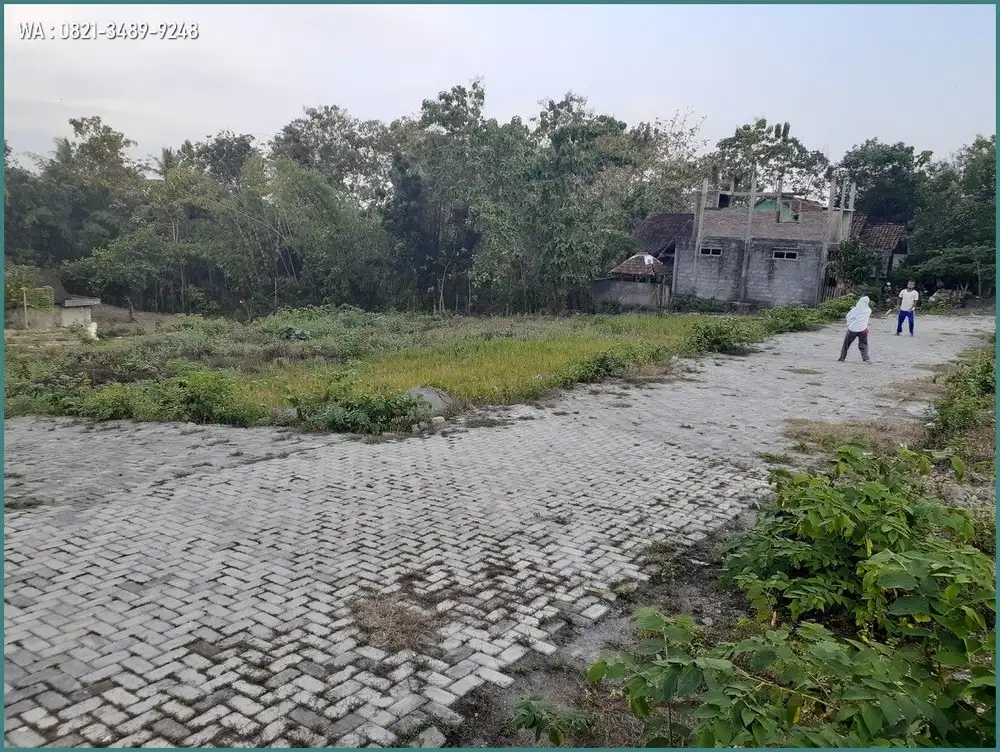 125 Juta Kapling Murah Sleman, Moyudan Dekat Ponpes Bina Umat