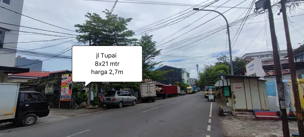Jl Tupai Makassar (8x21Mtr)  dekat jl Ratulangi serigala landak macan