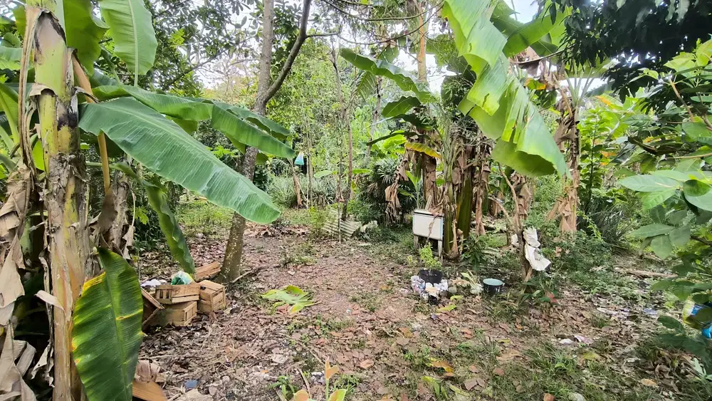 Dijual Lahan Siap Bangun Jl.Kebun Bunga Sukarami Palembang
