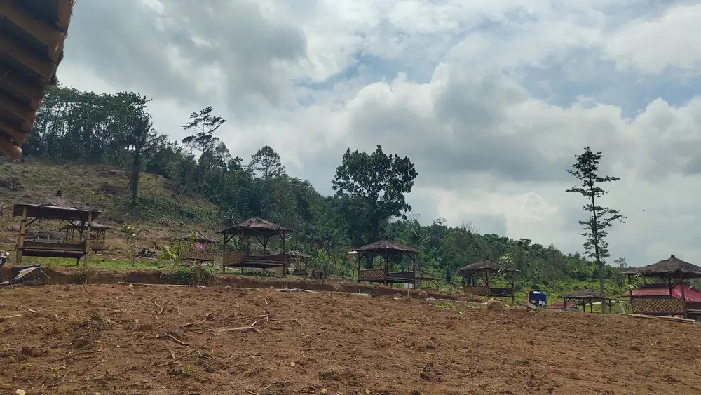 Investasi Tanah di Bogor Hanya 1,5 Jam dari Jakarta