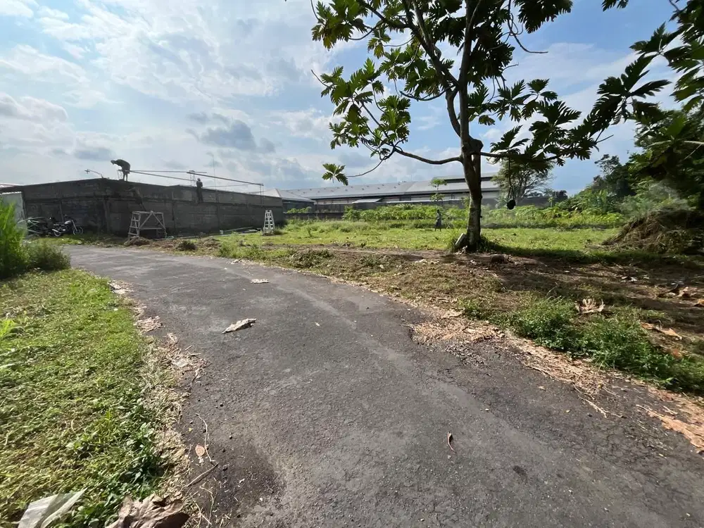 DEKAT PASAR REJODANI PALAGAN: Jl Plumbon Jogja, Tanah SHM