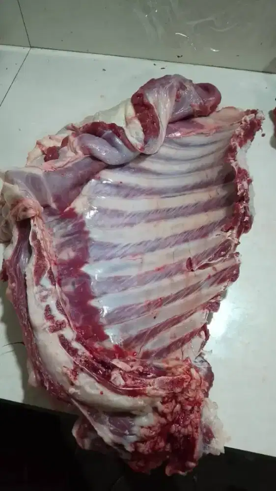 Iga kambing tebel super