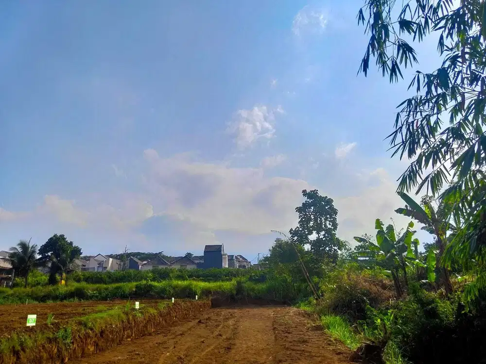 DIJUAL TANAH MURAH DEKAT KAMPUS UIN MALANG