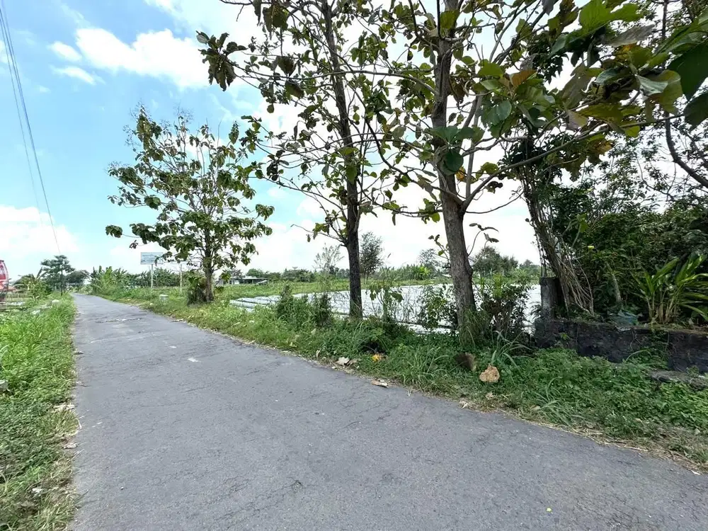 Tanah Pekarangan Murah Ngaglik Sleman, 2 Juta-an