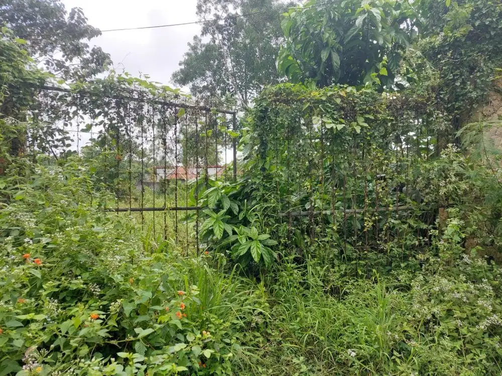 2000sqm road side land with 400m to Nyang-Nyang beach, Uluwatu