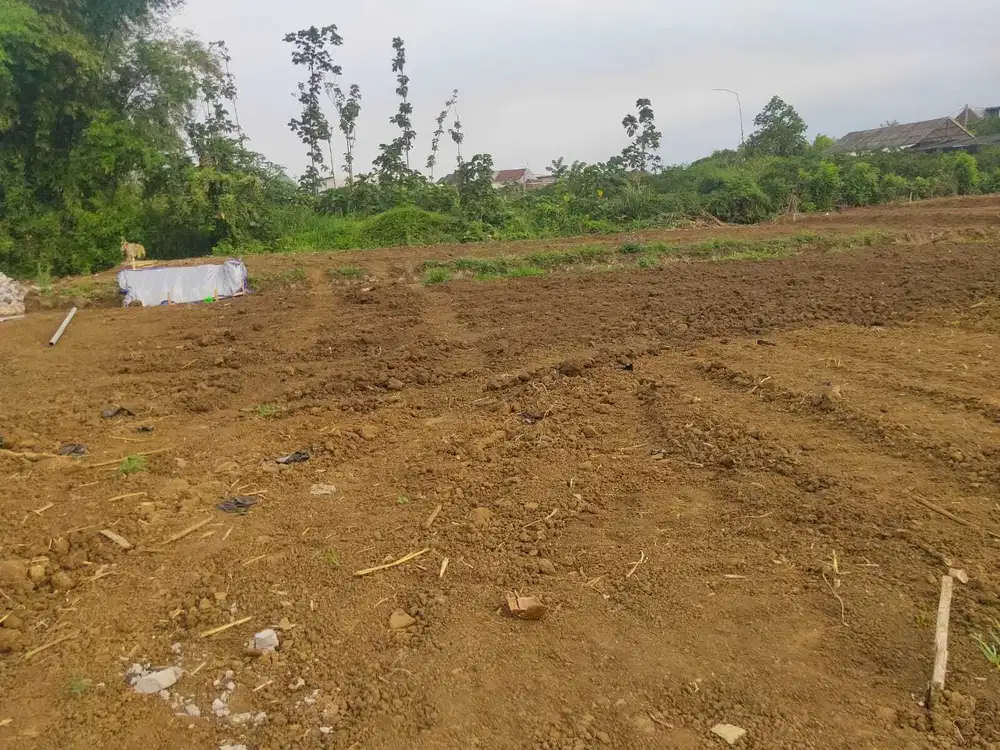 tanah hook kota malang