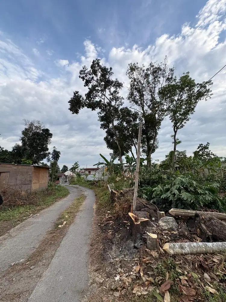 Prospek Kos, Tanah Dekat Kampus UII
