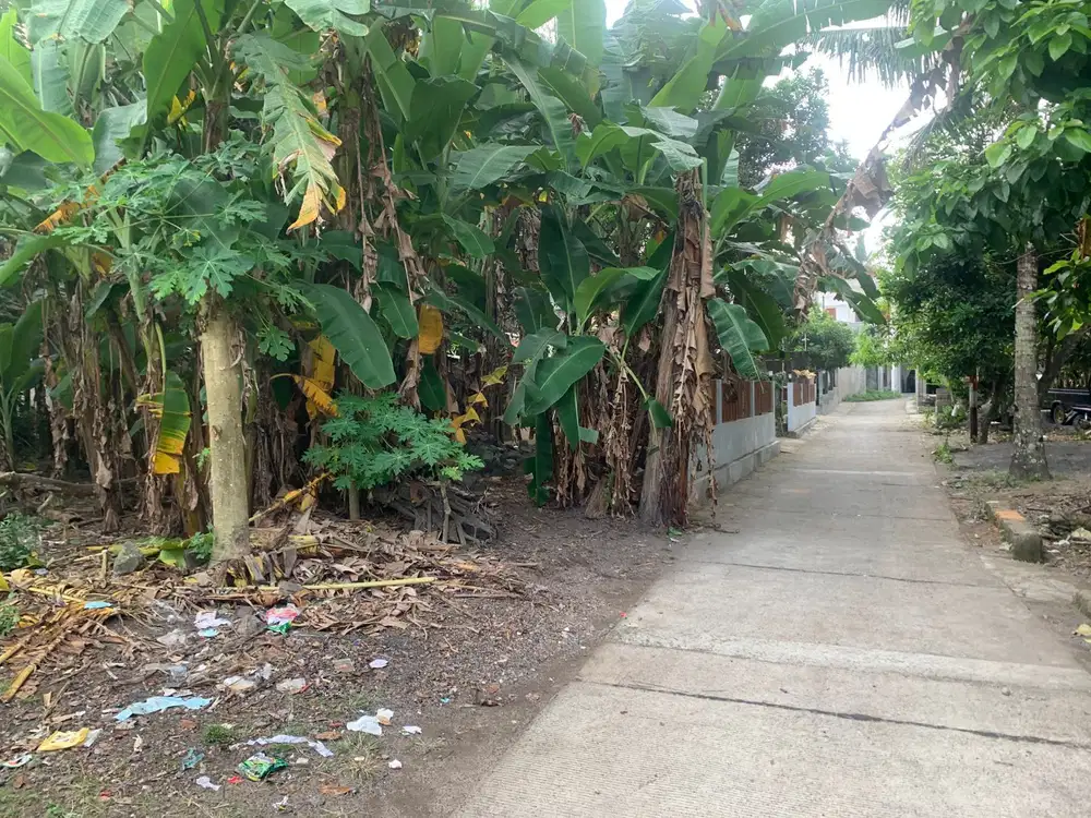 7 Menit PEMDA Sleman, Langsung Pemilik