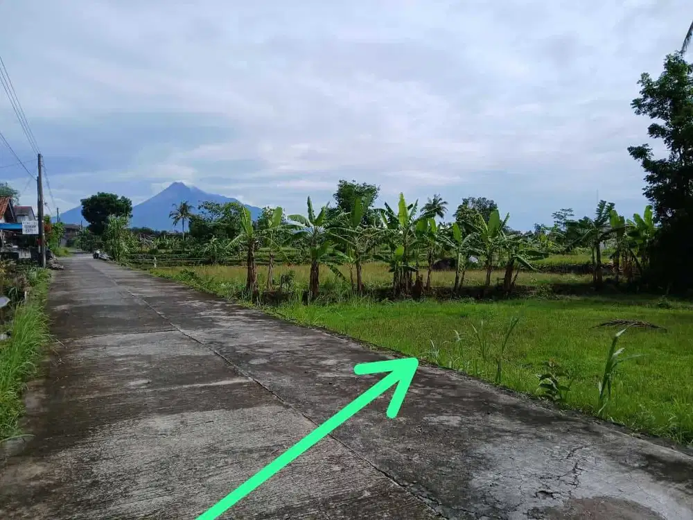 TANAH HAK MILIK DI PLUMBON REJONDANI PALAGAN LUAS 577