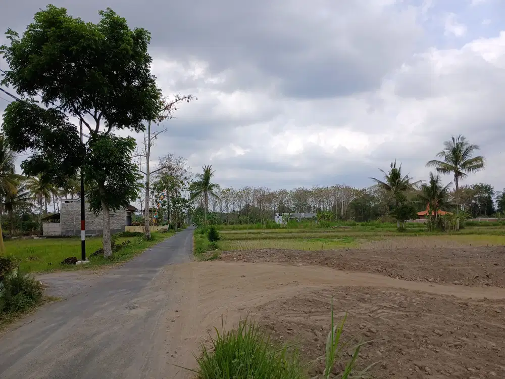 Tanah Sleman Dijual, Dekat SMAN 1 Ngaglik