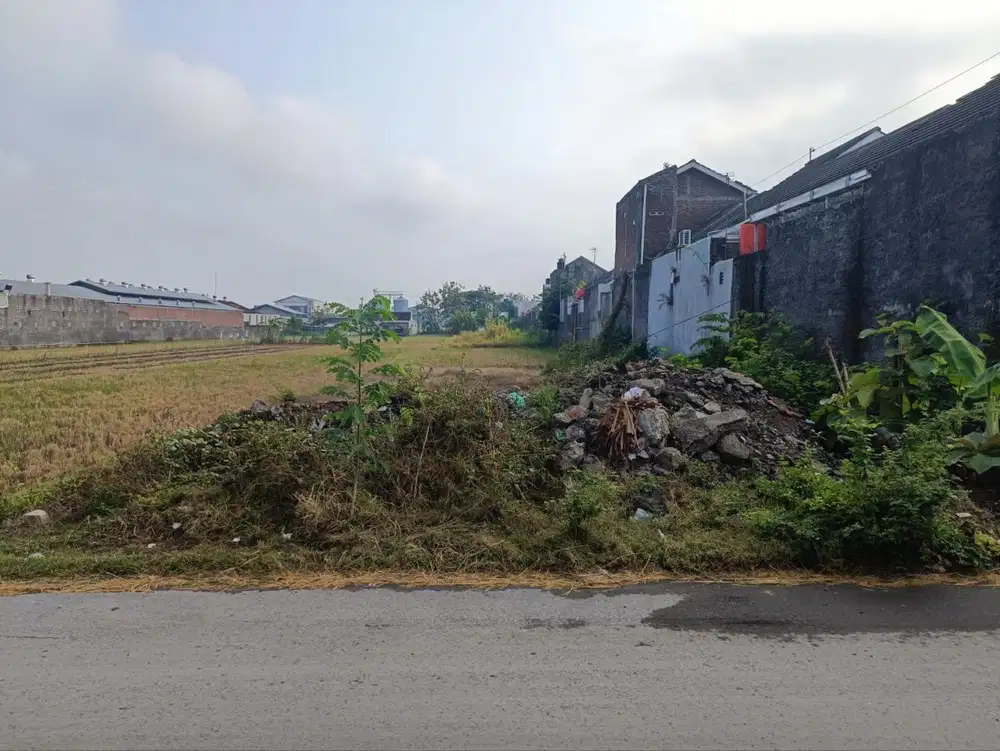 Tanah murah strategis  tepi jalan di Triyagan Mojolaban