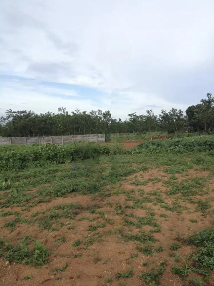 DIJUAL TANAH KAVLING STRATEGIS BAGUS MURAH SIRKUIT SENTUL CITY SSR802