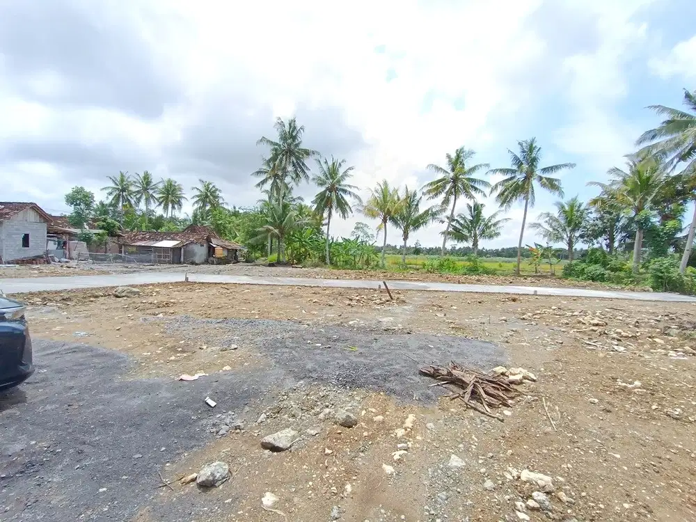 Tanah Murah Kulon Progo Dekat Kampus UAD 4,SHM Siap Akad