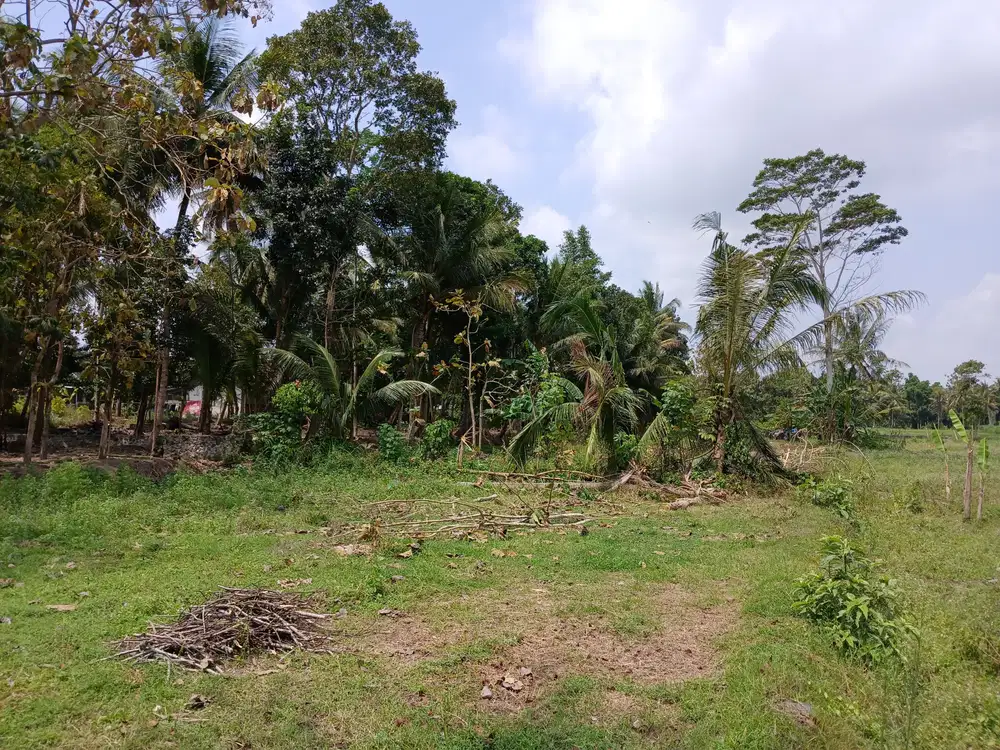 Peruntukan Homestay/Hunian, View Persawahan Ngaglik