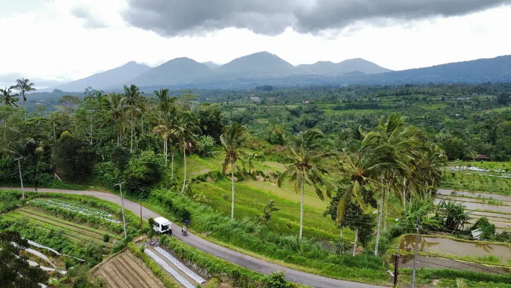 Tanah Murah di Daerah Pucak Mangu Kab. Badung View Gunung