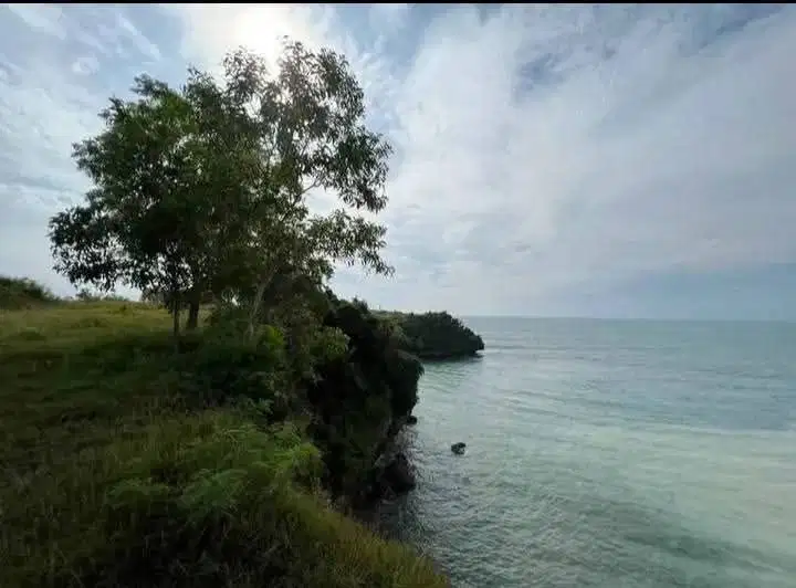 Dijual tanah los tebing ocean view kawasan dreamland beach pecatu