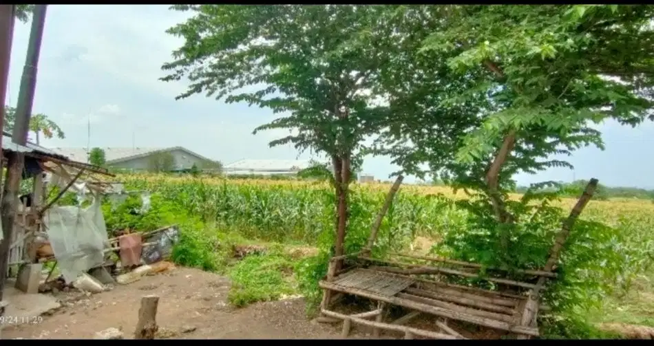 Pasuruan, Sukorejo. Lahan industri.