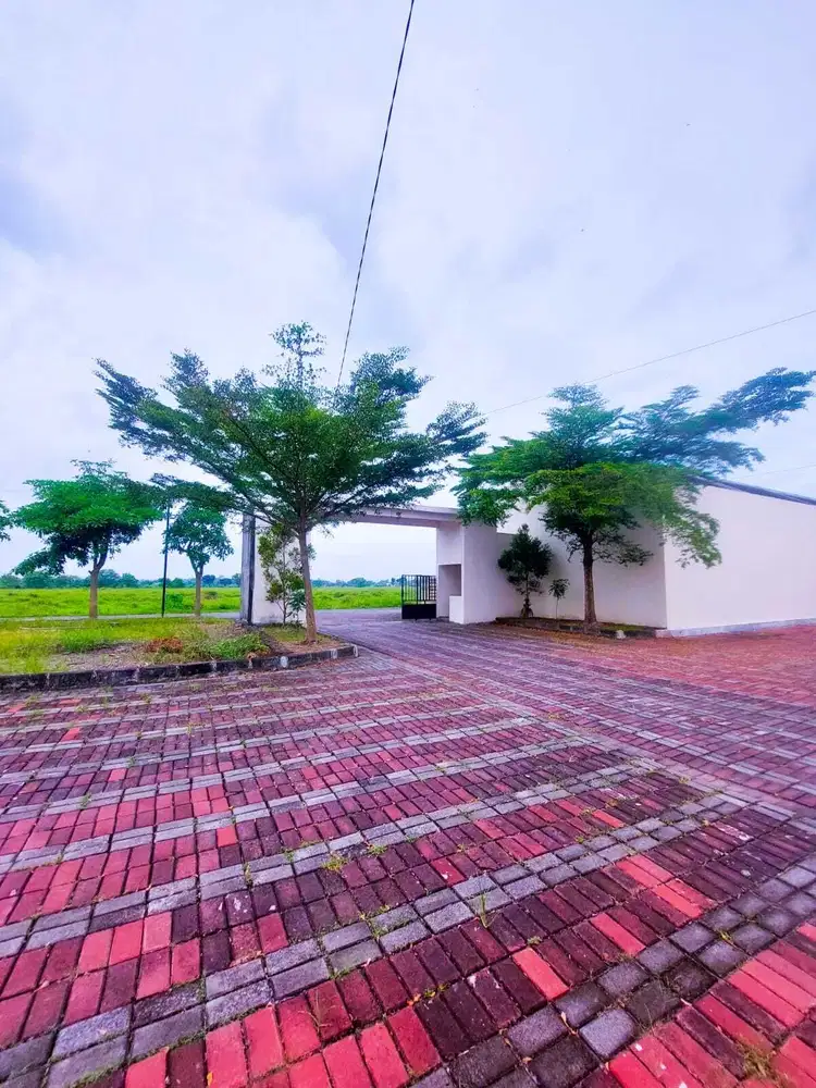 tanah kavlingan murah harga mulai 184jutaan likasi dekat jl raya