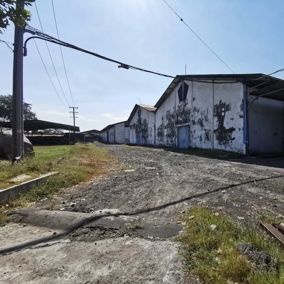 Pabrik Gunung Gangsir Pasuruan luas 3 Hektar