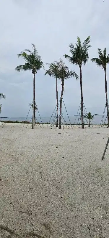 Dijual kavling khusus sultan lokasi peninsula pik2