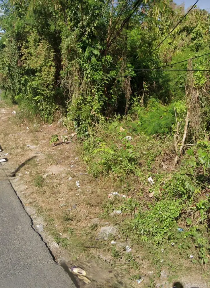 Bali. Ungasan utara. Lahan siap bangun