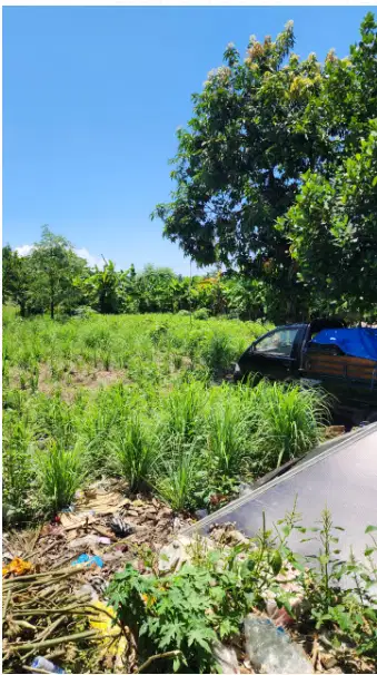 Super Premium Land Close by the Sunrise Beach at Sanur Bali