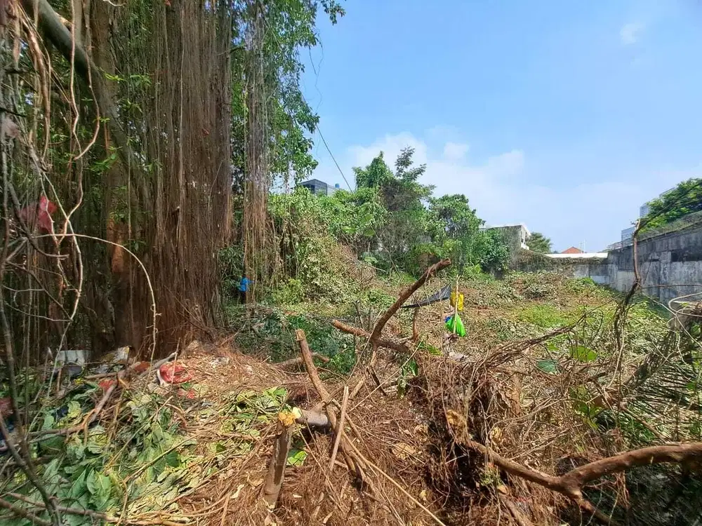 Jual Cepat Tanah Peruntukkan Komersil di Bangka Jaksel Luas 1453 m2