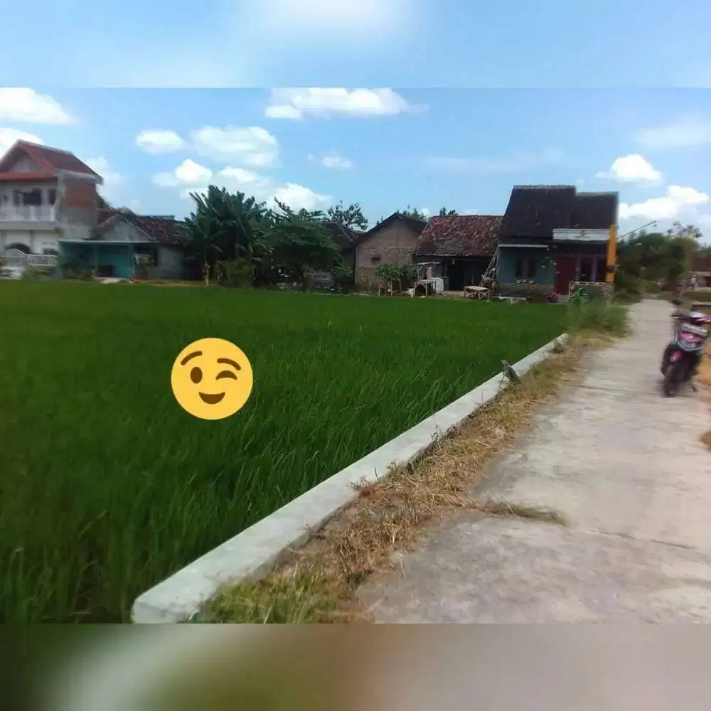 Jual cepat tanah status pekarangan mojolaban