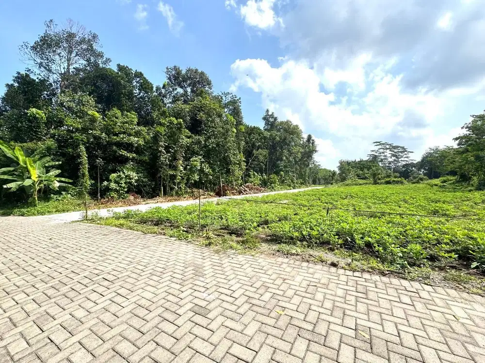 Prospek Bangun Kos, Tanah Ring 1 Kampus Jogja