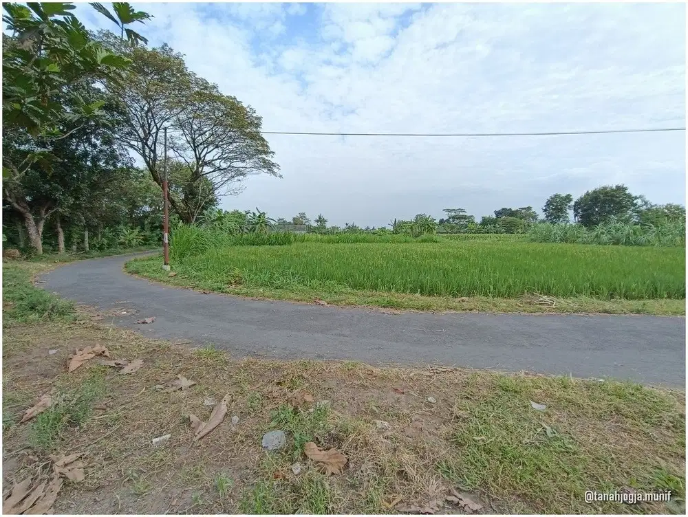 Tanah Villa View Sawah di Rejodani Palagan Sleman