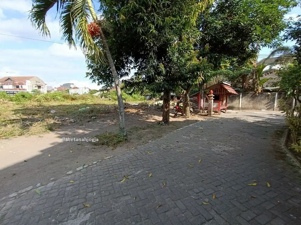 Kidul UGM Jogja, Pandega Marta : Kost Exclusive