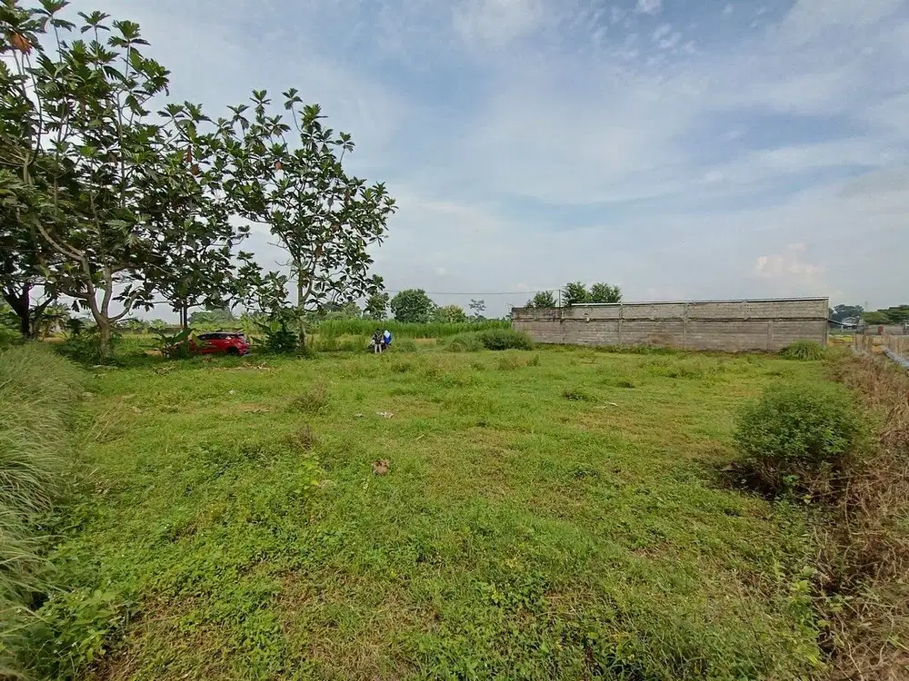 Tanah Strategis Area Jl. Palagan Sleman : Luas 170m Tepi Aspal