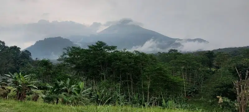 Mojokerto. Trawas. Lahan siap bangun. Komersial Area