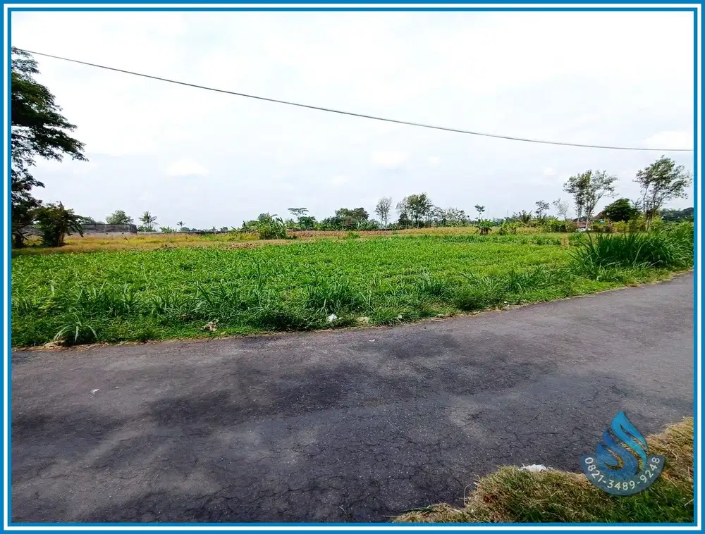 Lingkungan Asri, Pas Untuk Hunian Nyaman di Palagan Sleman