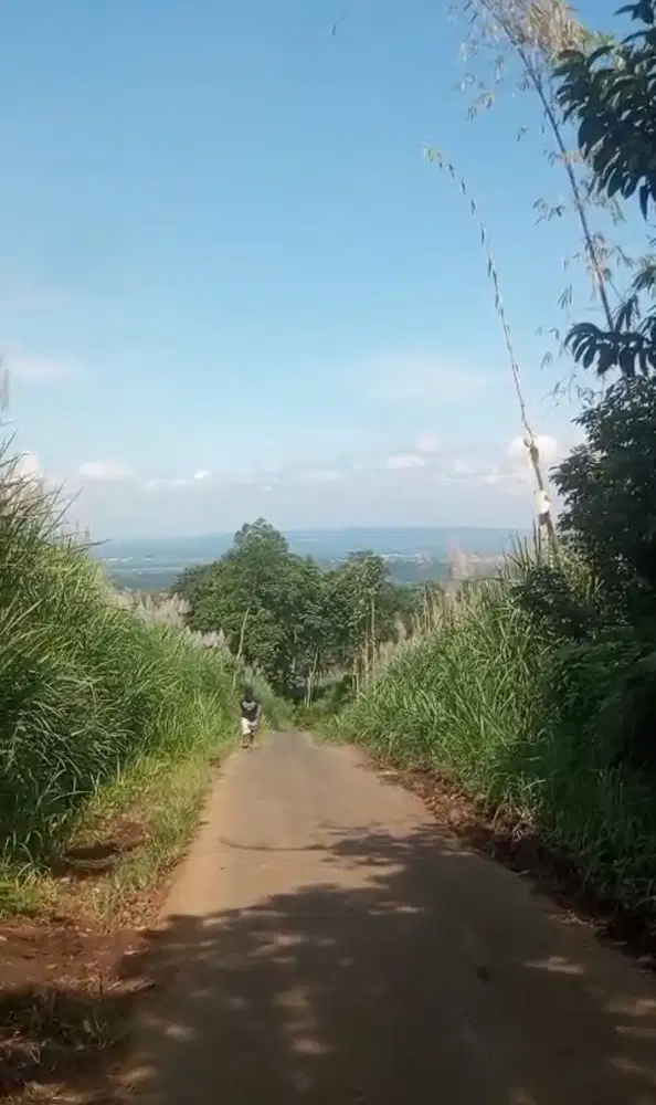 Tanah murah pinggir jalan kemiri jabung hanya 130 rb investasi bagus