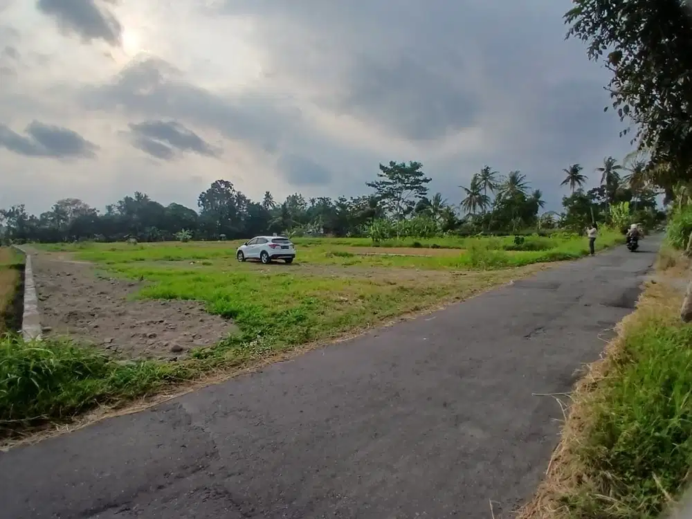 Dekat SMAN 1 Ngaglik, View Persawahan