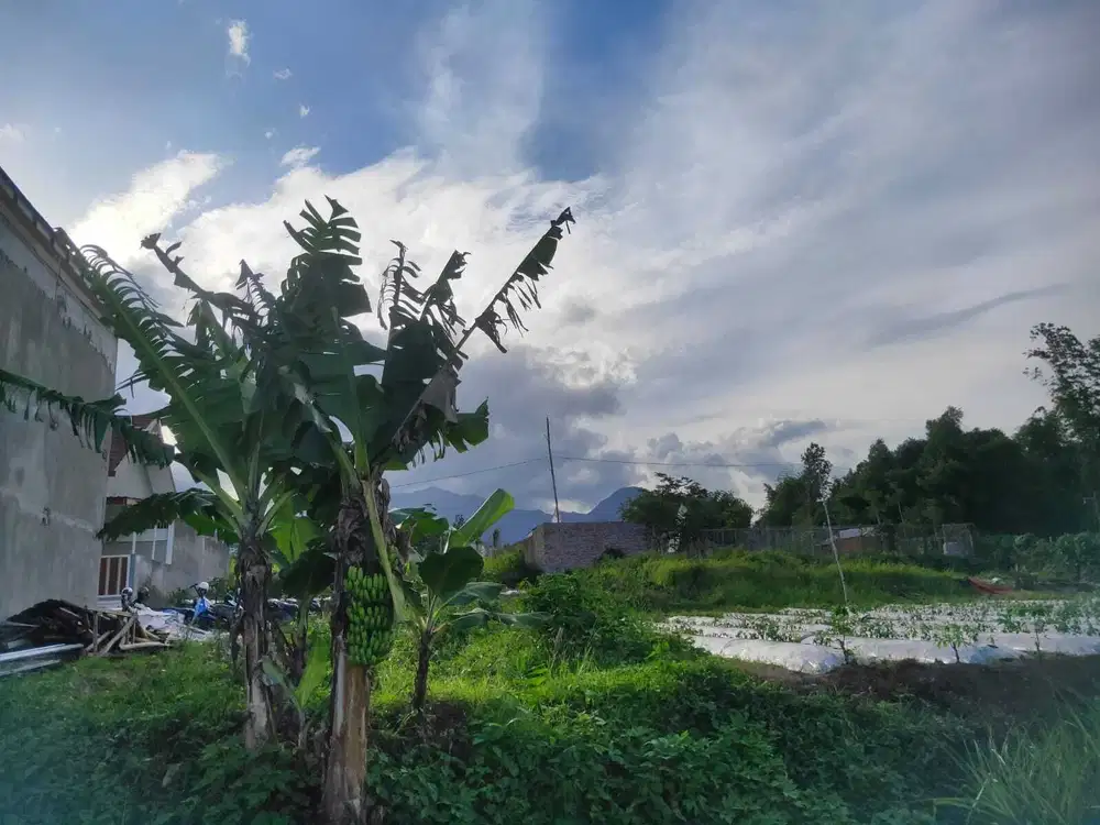 tanah siap bangun malang