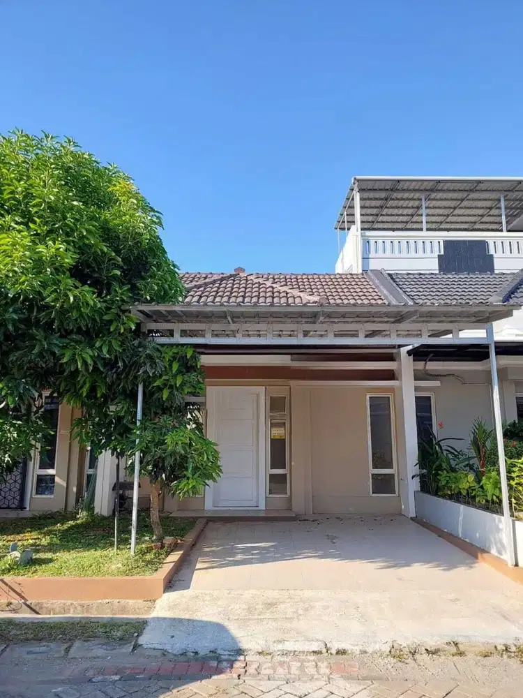 DIJUAL RUMAH MURAH DI TANJUNG BUNGA PERUMAHAN AMARYLLIS SUDAH RENOVASI