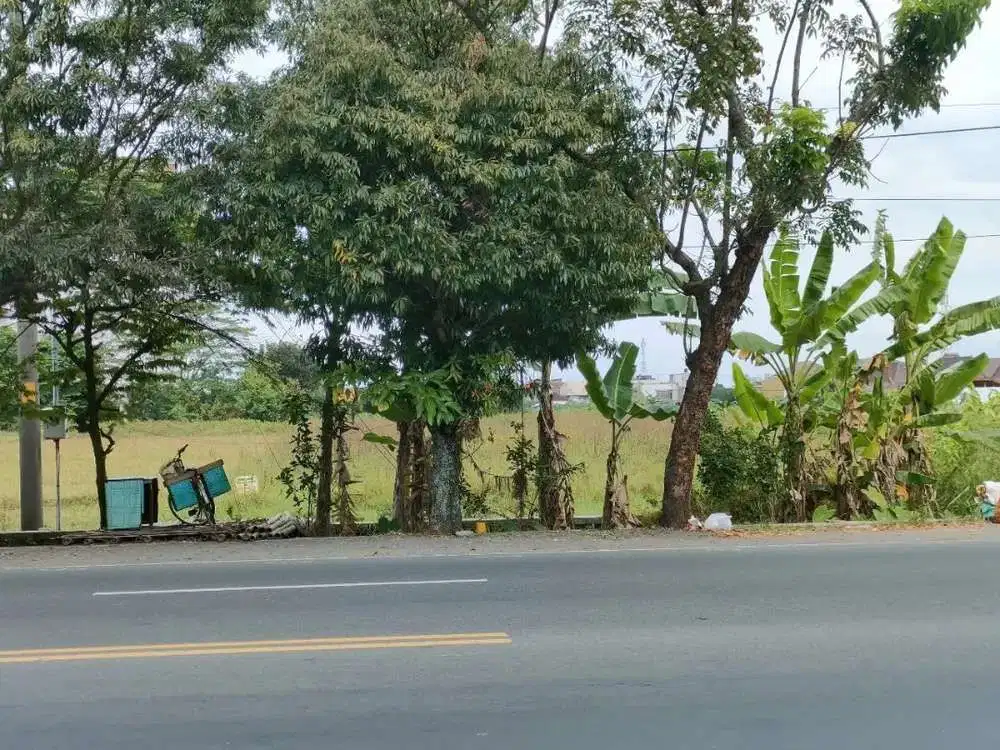 Tanah strategis tepi jalan raya