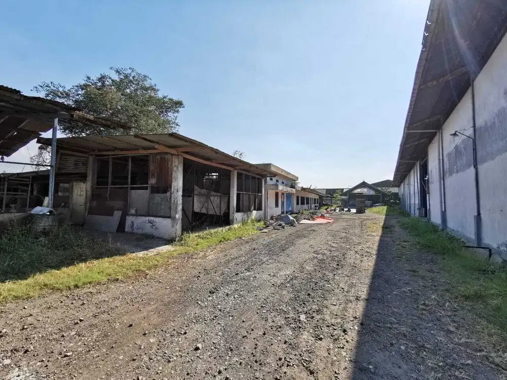 Lahan ex Pabrik, Gunung Gangsir Pasuruan Masih Bagus Akses Mudah