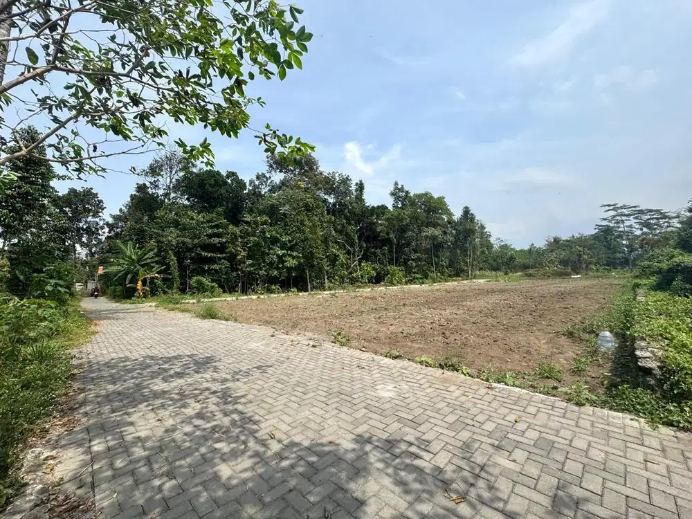 Tanah Belakang Kampus, Prospek Bangun Kos