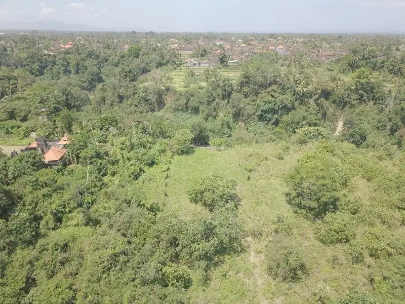 2875 m2 LAND FOR SALE IN KEMENUH UBUD BALI