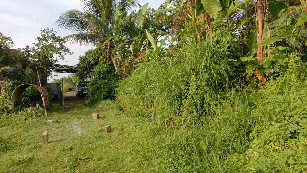 TANAH DEKAT KAMPUS UIN
