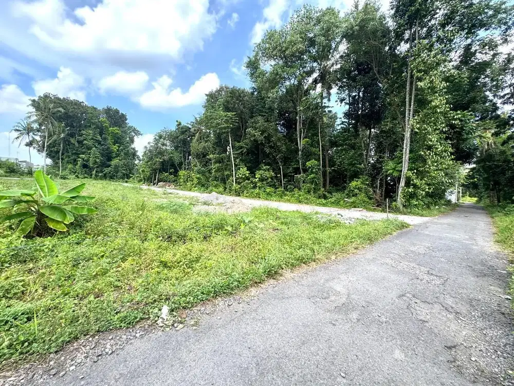 Tanah Murah Ring 1 Kampus, Lingkungan Kos-kosan